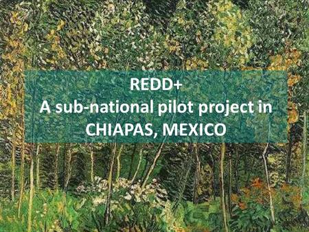 REDD+ A sub-national pilot project in CHIAPAS, MEXICO.