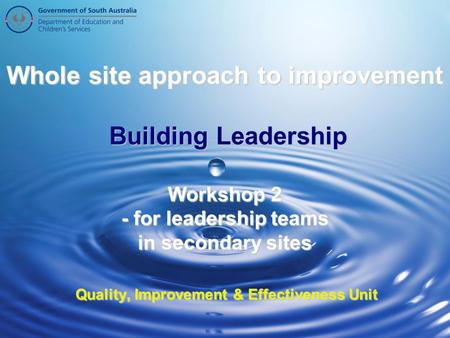 Quality, Improvement & Effectiveness Unit