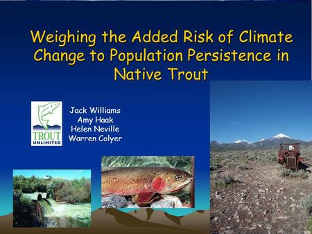 Weighing the Added Risk of Climate Change to Population Persistence in Native Trout Jack Williams Amy Haak Helen Neville Warren Colyer.