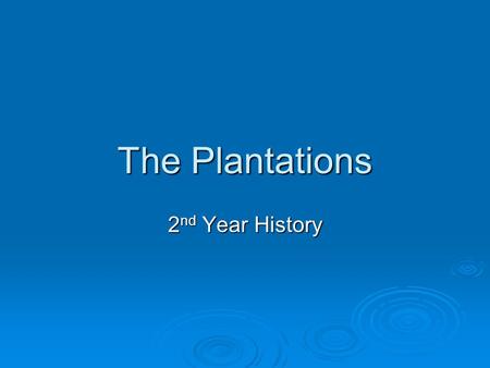The Plantations 2nd Year History.