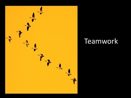 Teamwork. Can be in person or virtually. Organizing a Team Project Appoint a group manager Define a clear and definite goal Identify the type of document.