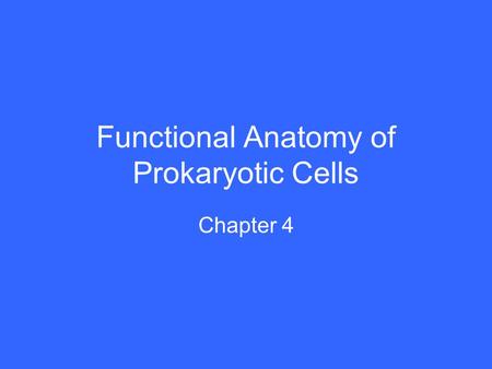 Functional Anatomy of Prokaryotic Cells Chapter 4.
