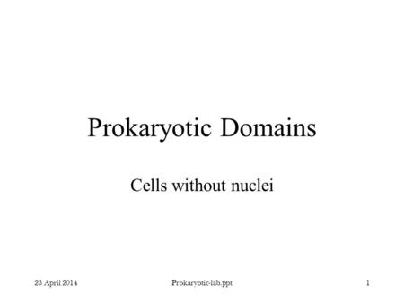 Prokaryotic Domains Cells without nuclei 23 April 20141Prokaryotic-lab.ppt.
