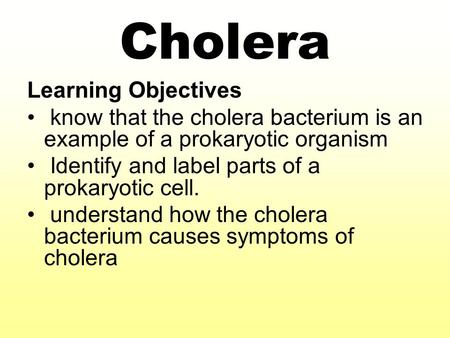 Cholera Learning Objectives know that the cholera bacterium is an example of a prokaryotic organism Identify and label parts of a prokaryotic cell. understand.