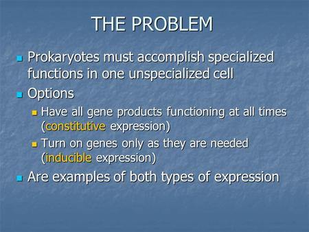 THE PROBLEM Prokaryotes must accomplish specialized functions in one unspecialized cell Prokaryotes must accomplish specialized functions in one unspecialized.