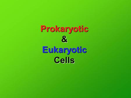 Prokaryotic & Eukaryotic Cells. In your notes, set up a chart that looks like this… Prokaryotic Eukaryotic.