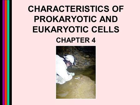CHARACTERISTICS OF PROKARYOTIC AND EUKARYOTIC CELLS CHAPTER 4.