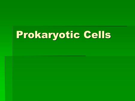 Prokaryotic Cells. Prokaryotes  PLASMA MEMBRANE  CELL WALL  GLYCOCALYX  CAPSULE  SLIME LAYER  FLAGELLUM  SEX PILUS  FIMBRAE.