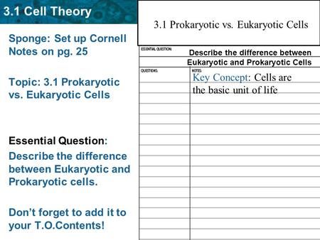 3.1 Prokaryotic vs. Eukaryotic Cells