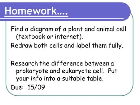 Homework…. Find a diagram of a plant and animal cell (textbook or internet). Redraw both cells and label them fully. Research the difference between a.