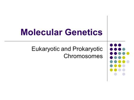 Molecular Genetics Eukaryotic and Prokaryotic Chromosomes.