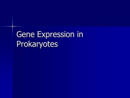Gene Expression in Prokaryotes. Why regulate gene expression? It takes a lot of energy to make RNA and protein. It takes a lot of energy to make RNA and.