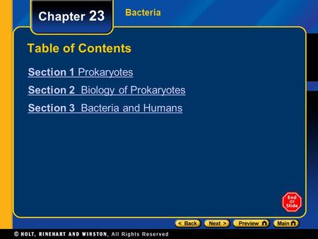 Chapter 23 Table of Contents Section 1 Prokaryotes