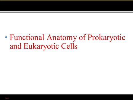 2008 Functional Anatomy of Prokaryotic and Eukaryotic Cells.
