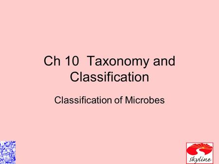 Ch 10 Taxonomy and Classification Classification of Microbes.