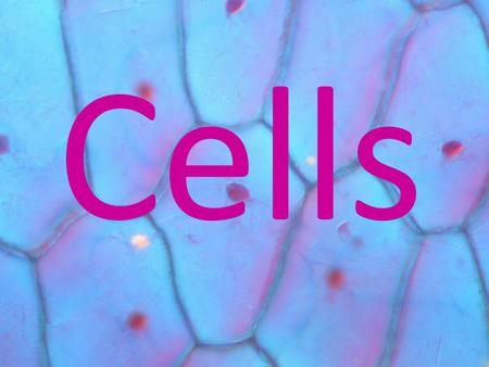 Cells. What is a cell? A cell is the smallest functional unit of life (it is the smallest, most simple thing that can still be considered living) It is.