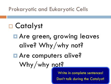 Prokaryotic and Eukaryotic Cells  Catalyst  Are green, growing leaves alive? Why/why not?  Are computers alive? Why/why not? Write in complete sentences!