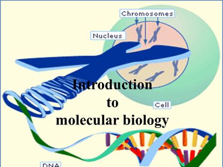 Introduction to molecular biology. Subjects overview Investigate how cells organize their DNA within the cell nucleus, and replicate it during cell division.