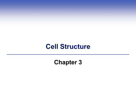 Cell Structure Chapter 3. Examples of Cells 3.2 What, Exactly, Is a Cell? Cells are the fundamental units of all life  All cells start life with a plasma.