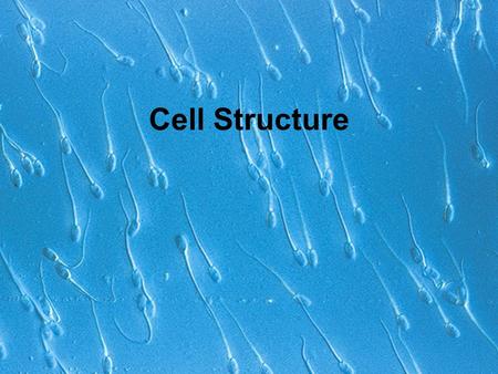 Cell Structure. Cells En küçük yaşam birimi Çoğu mikroskobik.