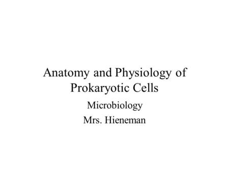 Anatomy and Physiology of Prokaryotic Cells Microbiology Mrs. Hieneman.