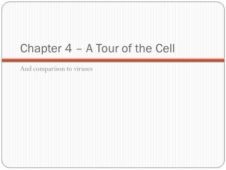 Chapter 4 – A Tour of the Cell
