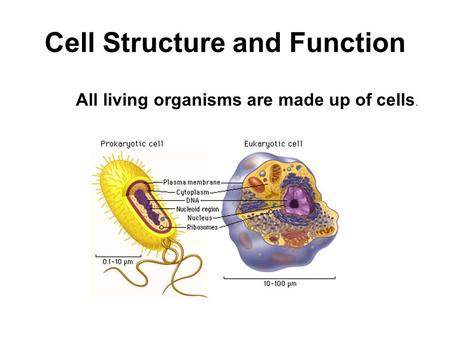 Cell Structure and Function All living organisms are made up of cells.