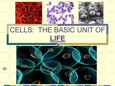 CELLS: THE BASIC UNIT OF LIFE