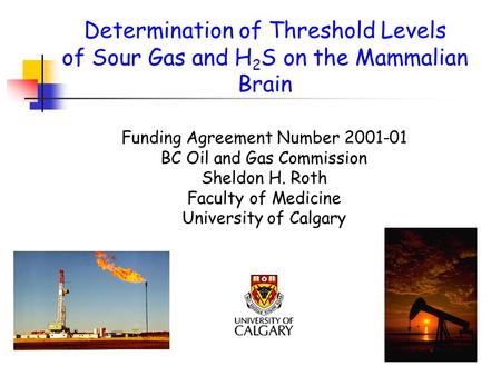 Determination of Threshold Levels of Sour Gas and H 2 S on the Mammalian Brain Funding Agreement Number 2001-01 BC Oil and Gas Commission Sheldon H. Roth.