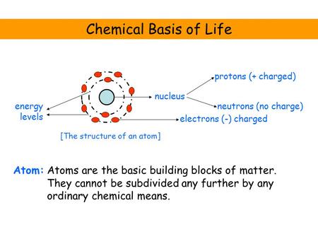 Chemical Basis of Life Atom: nucleus electrons (-) charged neutrons (no charge) protons (+ charged) energy levels [The structure of an atom] Atoms are.