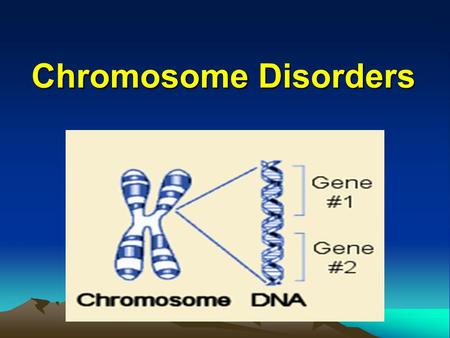 Chromosome Disorders. Classification of genetic disorders  Single-gene disorders (2%)  Chromosome disorders (