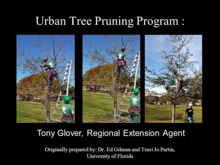 Urban Tree Pruning Program :