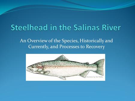 An Overview of the Species, Historically and Currently, and Processes to Recovery.