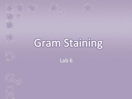 Lab 6. Gram staining was originally developed in 1844 by Christian Gram Because most bacteria have one of these two types of cell walls, we can use this.