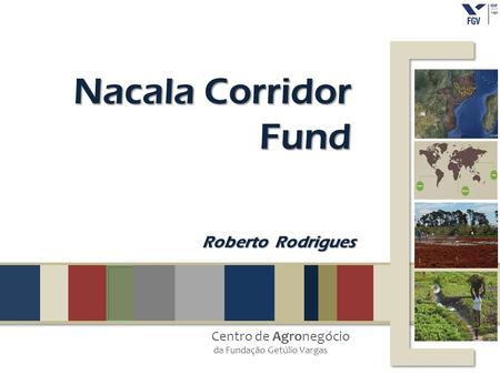 Centro de Agronegócio da Fundação Getúlio Vargas Nacala Corridor Fund Roberto Rodrigues.