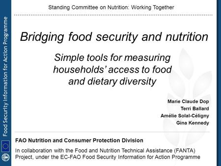 Bridging food security and nutrition