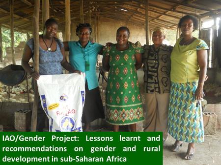 IAO/Gender Project: Lessons learnt and recommendations on gender and rural development in sub-Saharan Africa.
