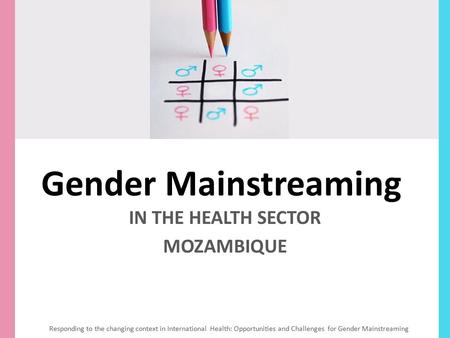IN THE HEALTH SECTOR MOZAMBIQUE