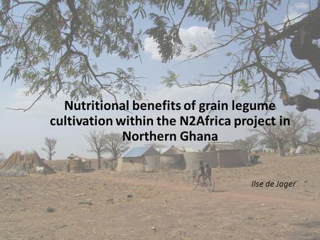 Ilse de Jager Nutritional benefits of grain legume cultivation within the N2Africa project in Northern Ghana.