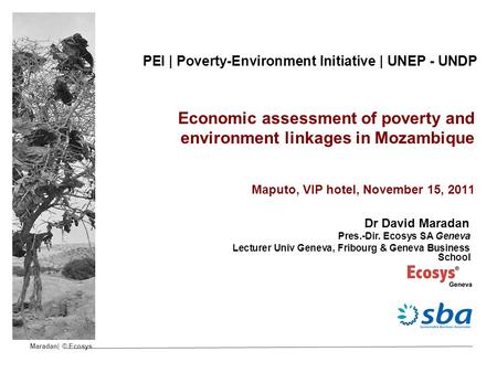 Maradan| © Ecosys PEI | Poverty-Environment Initiative | UNEP - UNDP Economic assessment of poverty and environment linkages in Mozambique Maputo, VIP.