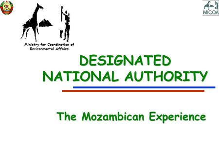 Ministry for Coordination of Environmental Affairs DESIGNATED NATIONAL AUTHORITY The Mozambican Experience.