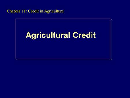 Chapter 11: Credit in Agriculture Agricultural Credit.