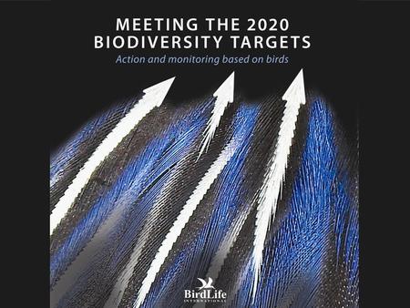 Meeting the 2020 biodiversity targets Action and monitoring based on birds.