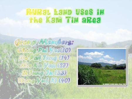 Introduction On the 10th May, our class went to Kam Tin to learn more about the land-use planning there. We have three aims of this trip. Firstly, we.