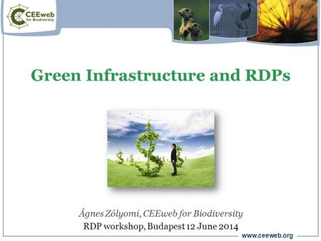 Www.ceeweb.org Green Infrastructure and RDPs Ágnes Zólyomi, CEEweb for Biodiversity RDP workshop, Budapest 12 June 2014.