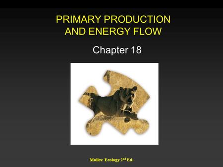 Molles: Ecology 2 nd Ed. PRIMARY PRODUCTION AND ENERGY FLOW Chapter 18.