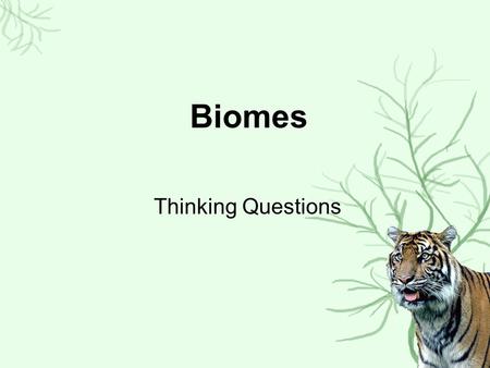 Biomes Thinking Questions.