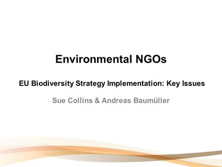 Environmental NGOs EU Biodiversity Strategy Implementation: Key Issues Sue Collins & Andreas Baumüller.
