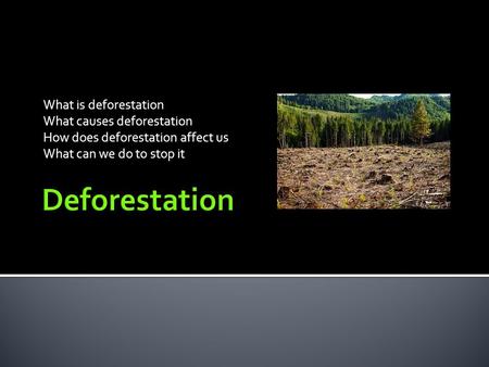 What is deforestation What causes deforestation How does deforestation affect us What can we do to stop it.