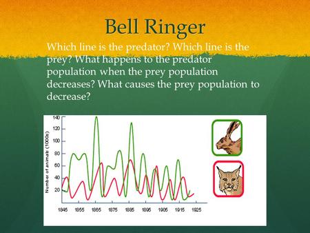 Bell Ringer Which line is the predator? Which line is the prey? What happens to the predator population when the prey population decreases? What causes.